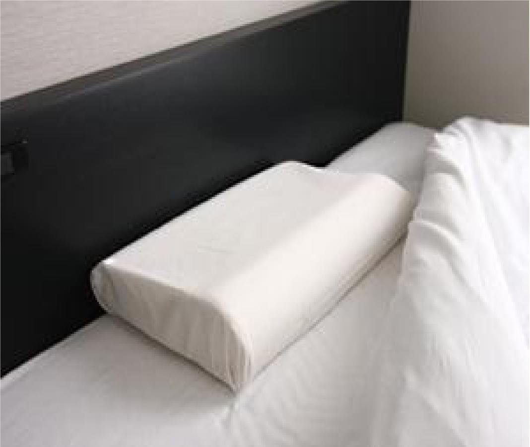 Niigata Park Hotel Extérieur photo